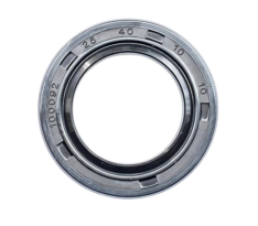 Oil Seal 25-40-10