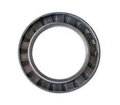 Oil Seal 60-90-10